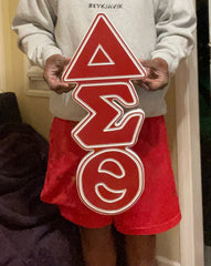 Delta Sigma Theta Sorority - 22" (Inch) BIG BLOCK LETTERS (Painted) - Vertical